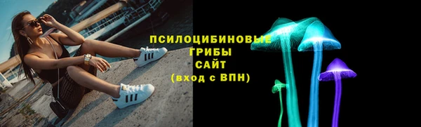 apvp Алзамай