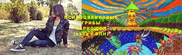 apvp Алзамай
