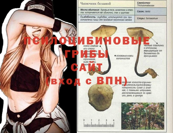 2c-b Алексеевка