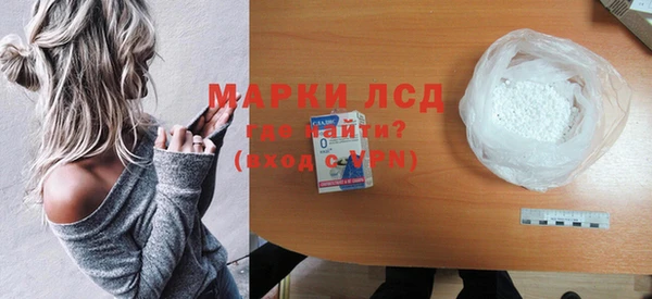 apvp Алзамай