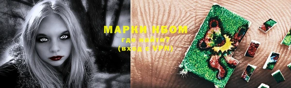 apvp Алзамай