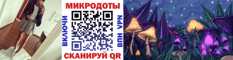 Псилоцибиновые грибы Magic Shrooms  блэк спрут маркетплейс  Куровское  сколько стоит 