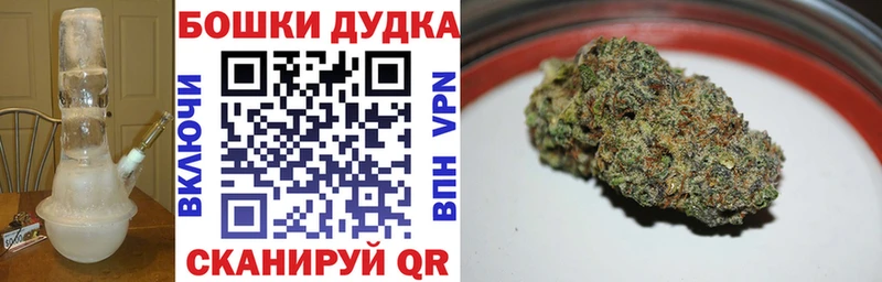 Шишки марихуана сатива  mega онион  Куровское 